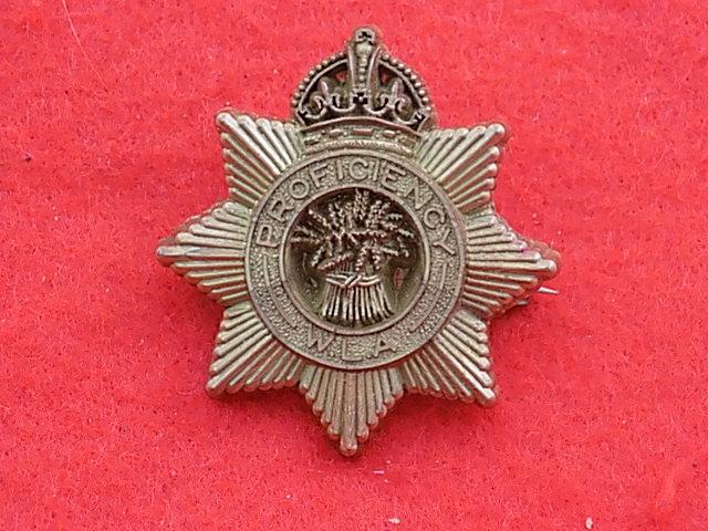 WW11 Plastic Badge - Womens Land Army Proficiency